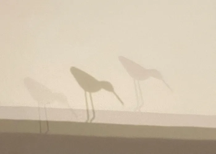 Maison De Bourg Cosy Et Fonctionnelle Proche Hébergement de vacances Bretignolles-sur-Mer