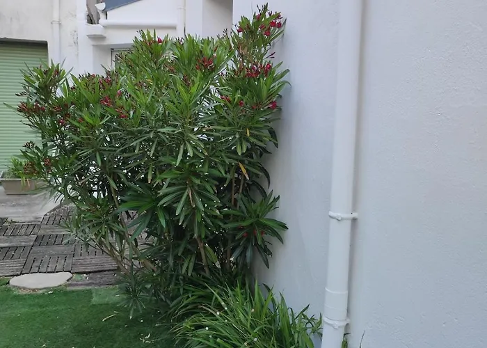 Maison De Bourg Cosy Et Fonctionnelle Proche * Bretignolles-sur-Mer